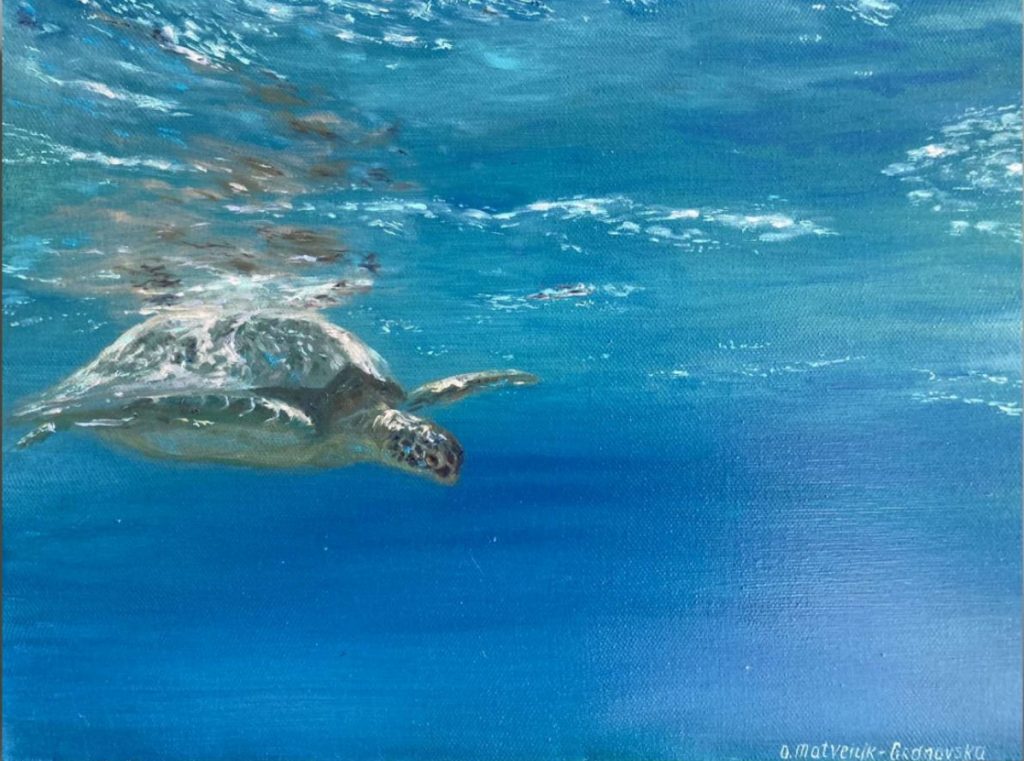 Underwater world. Turtle